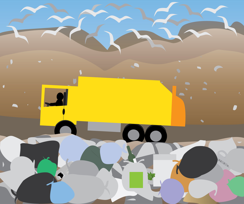 Eco-Friendly Solutions for Packaging and Cardboard Disposal